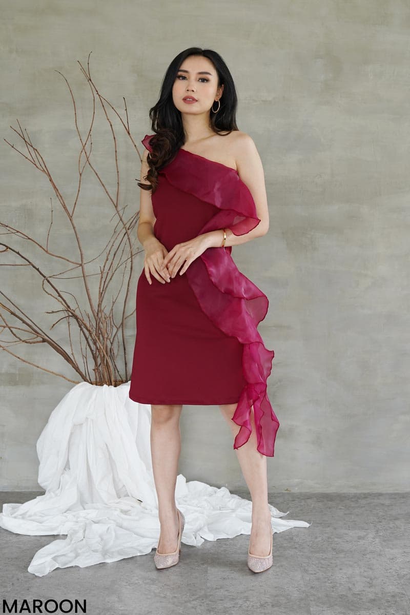 Gabriela Organza Dress