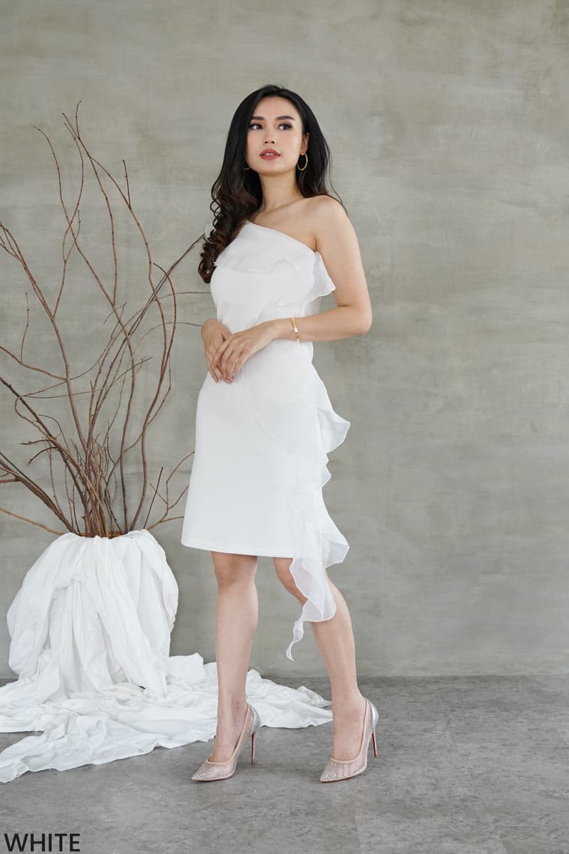 Gabriela Organza Dress