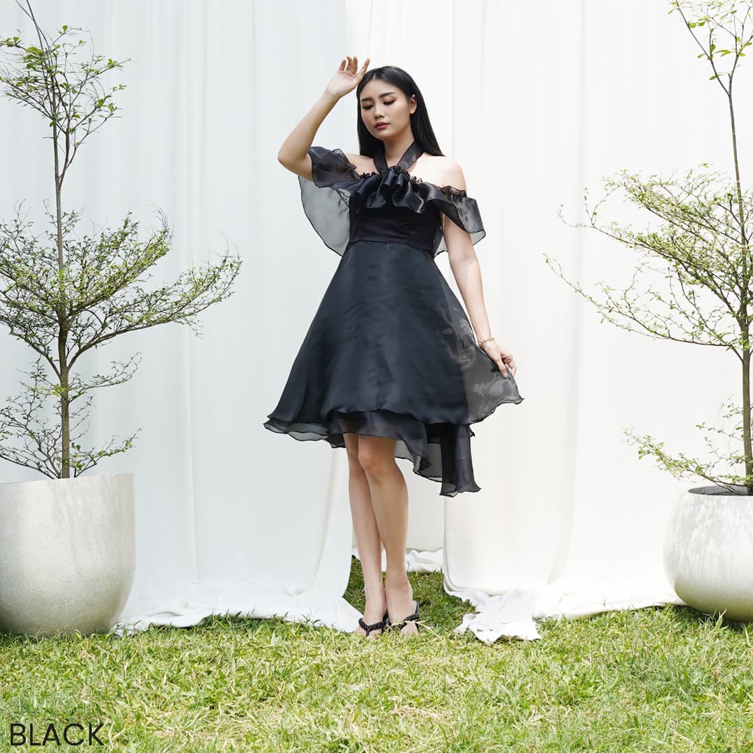 Mini Dress Tinny