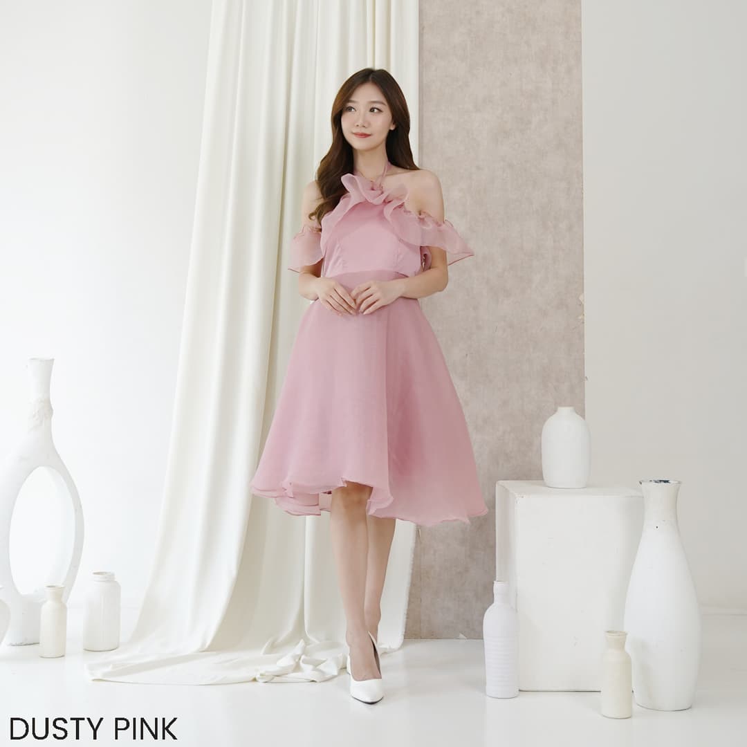 Mini Dress Tinny